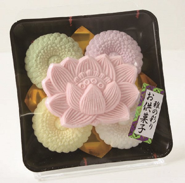 菊蓮華