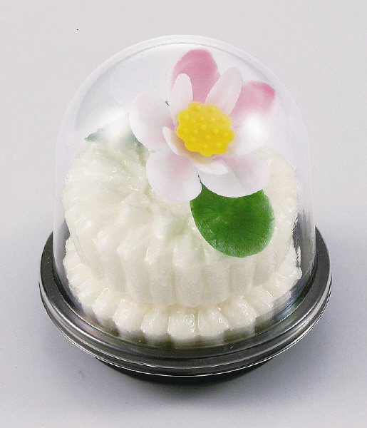菊すがた（白）