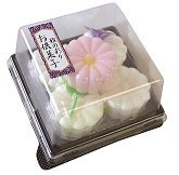 紅白菊