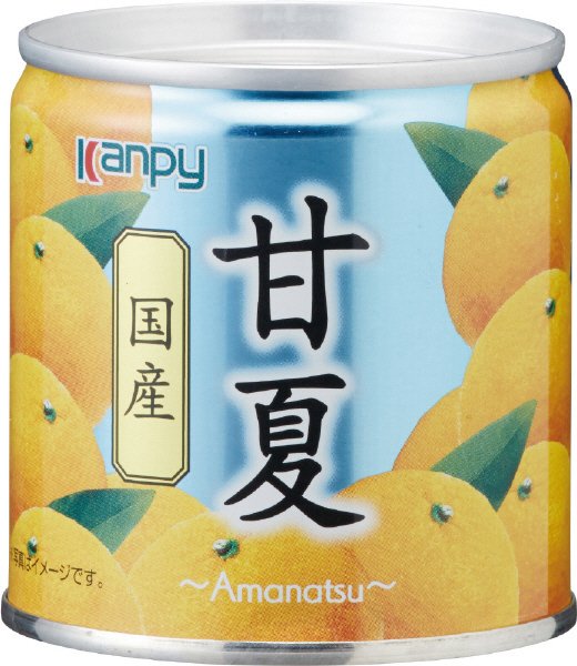 国産甘夏