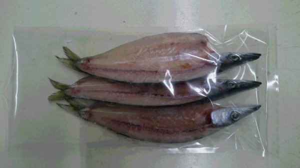 生からつくったかます開き干し