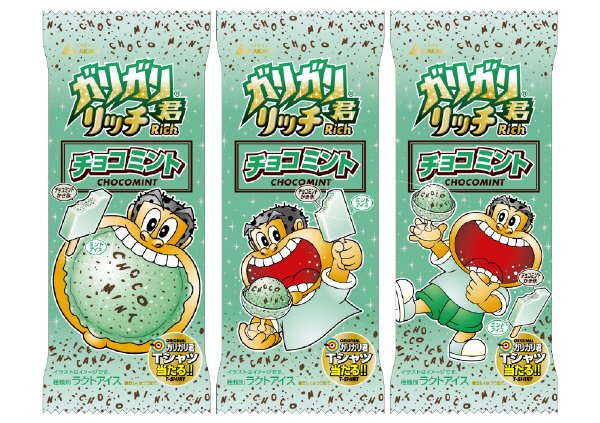 ガリガリ君リッチチョコミント