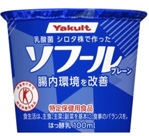 ソフールプレーン