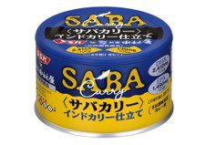 サバカリー　インドカリー仕立て