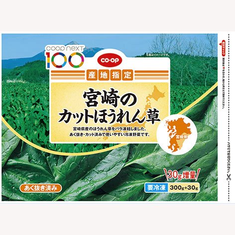 宮崎のカットほうれん草