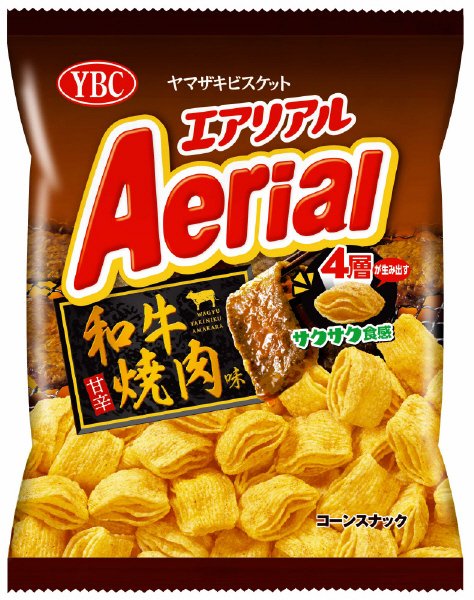 エアリアル　和牛焼肉味
