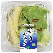 彩りサラダ