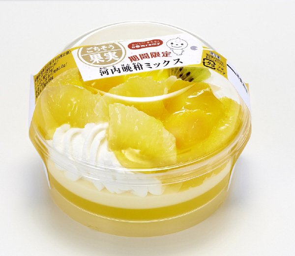 ごちそう果実 　河内晩柑ミックス