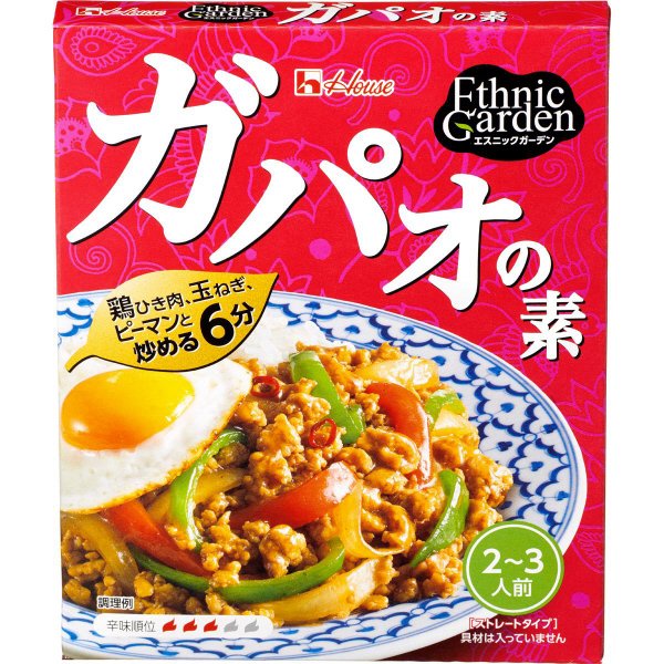 エスニックガーデン　ガパオの素