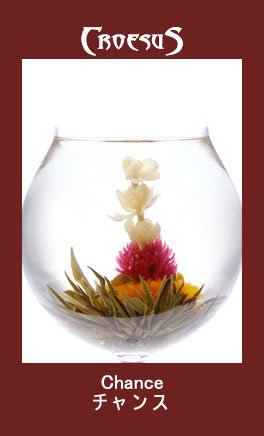 工芸茶　チャンス