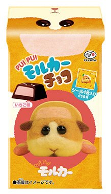 ＰＵＩ　ＰＵＩ　モルカ―チョコ