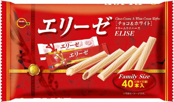 エリーゼＦＳ