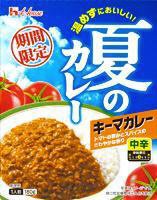 夏のカレー　キーマカレー中辛