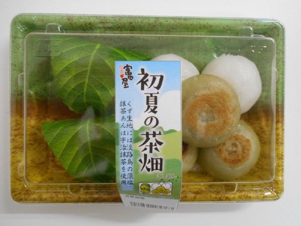 初夏の茶畑