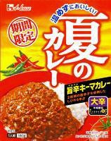 夏のカレー　旨辛キーマカレー大辛