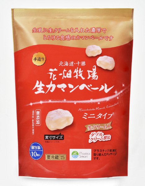 生カマンベールミニタイプ　プレーン　１０個入り