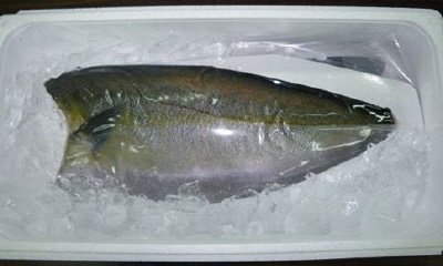 TV　ASC認証かんぱち（鹿児島県産・養殖）フィレ４枚入