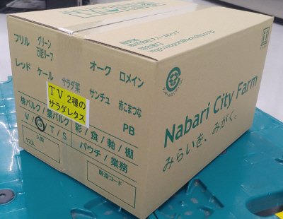減の恵み　2種のサラダレタス