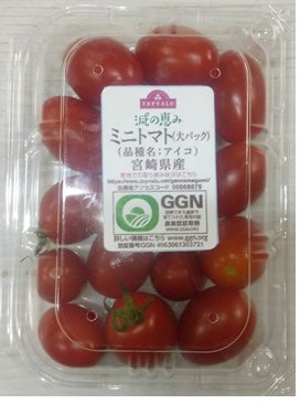 宮崎県産トップバリュ減の恵みミニトマト（品種：アイコ）大パック