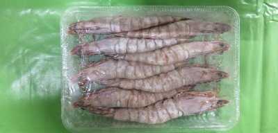 ＴＶＭＳＣｵｰｽﾄＴ有頭9/12　8尾ＲＳ出荷用