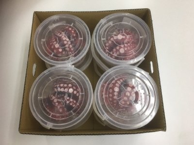 酢蛸（有頭）５００ｇ