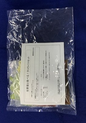 生野菜と食べる！タコライスセット