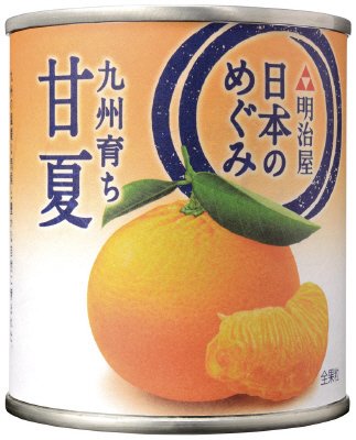 日本のめぐみ　九州育ち　甘夏