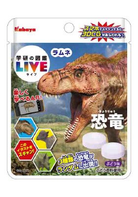 図鑑ＬＩＶＥラムネ