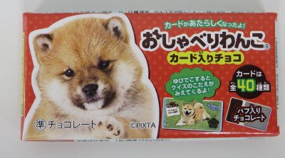 おしゃべりわんこ