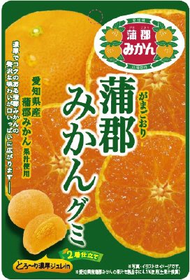 ＪＡ蒲郡市蒲郡みかんグミ