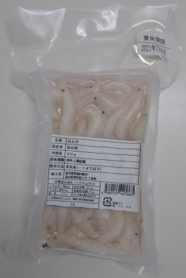 富山湾産白えび