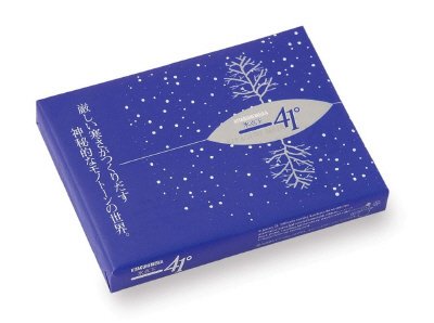 氷点下４１゜