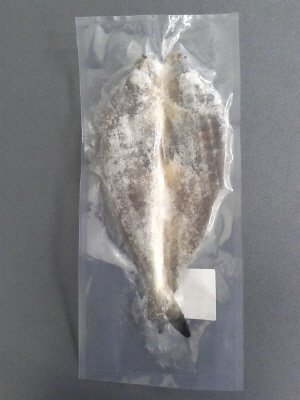礼文島船泊産　真ほっけ開き