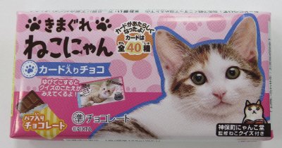 きまぐれねこにゃん