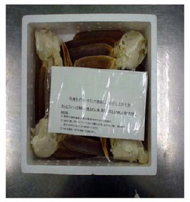 生ずわいがに肩