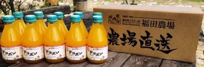デコポンジュース１０本セット