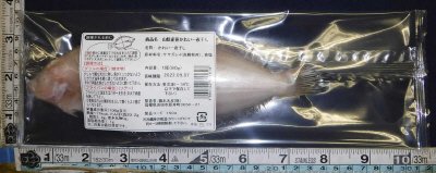 山陰産笹かれい一夜干し