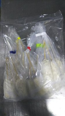 お家で串カツセット（5種）