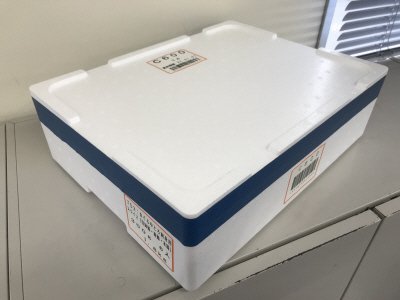 まぐろ中とろ刺身用（本鮪・南鮪・目鉢鮪）スライス