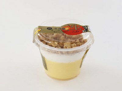 生食感チーズケーキ　～紅玉りんご使用～