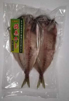 真あじ干物（銘茶干し）