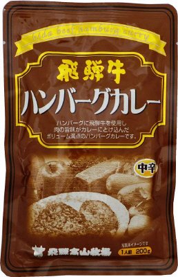 飛騨牛ハンバーグカレー　中辛