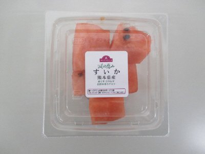 減恵すいかブロック小