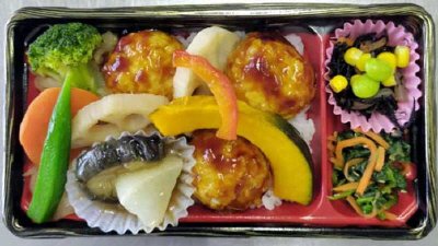 ごろごろ野菜と豆腐ハンバーグのお弁当