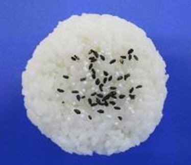 塩おにぎり（ごま塩）/㈱煌