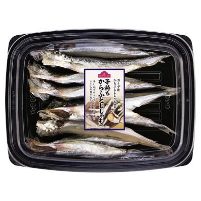 TV　子持ちからふとししゃも