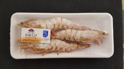 ＴＶＭＳＣｵｰｽﾄＴ有頭4/6　3尾