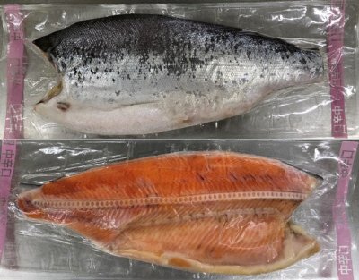 ASC塩銀鮭フィレ　中辛塩味