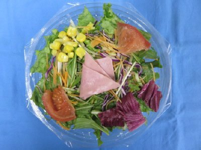９品目のサラダ冷し中華