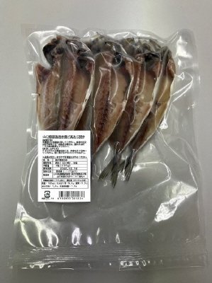 山口県萩漁港水揚げ真あじ開き